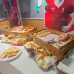 مرة و انا و صديقي وائل جمعة روحنا نشوف اخر مباريات كلوب مع جيل ليفربول و محمد صلاح في الانفيلد