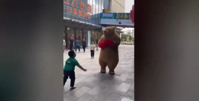 Very Funny Videos Compilation