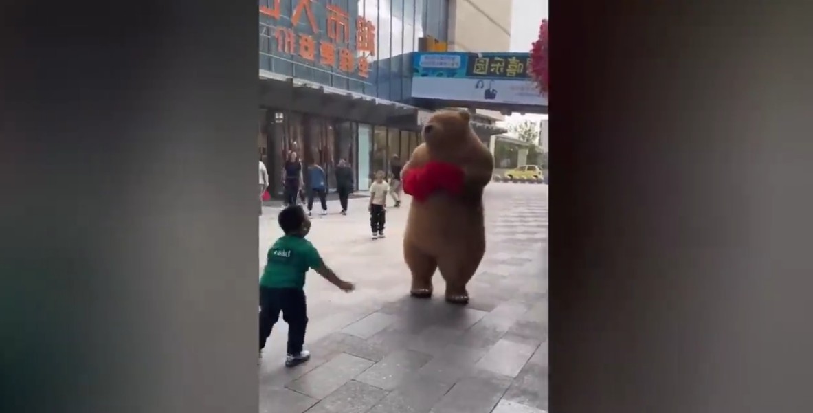 Very Funny Videos Compilation